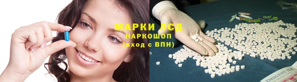 спиды Тавда