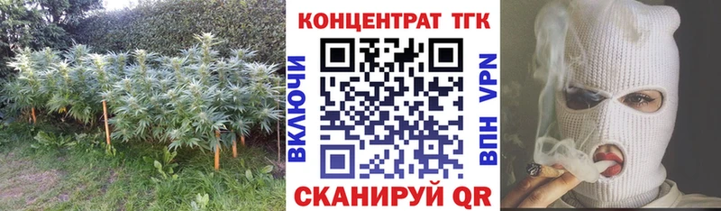 ТГК концентрат Благодарный
